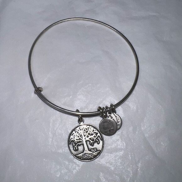 Alex And Ani Boston Tree Of Life Bracelet With Charm Rafaelian Silver - Picture 2 of 6